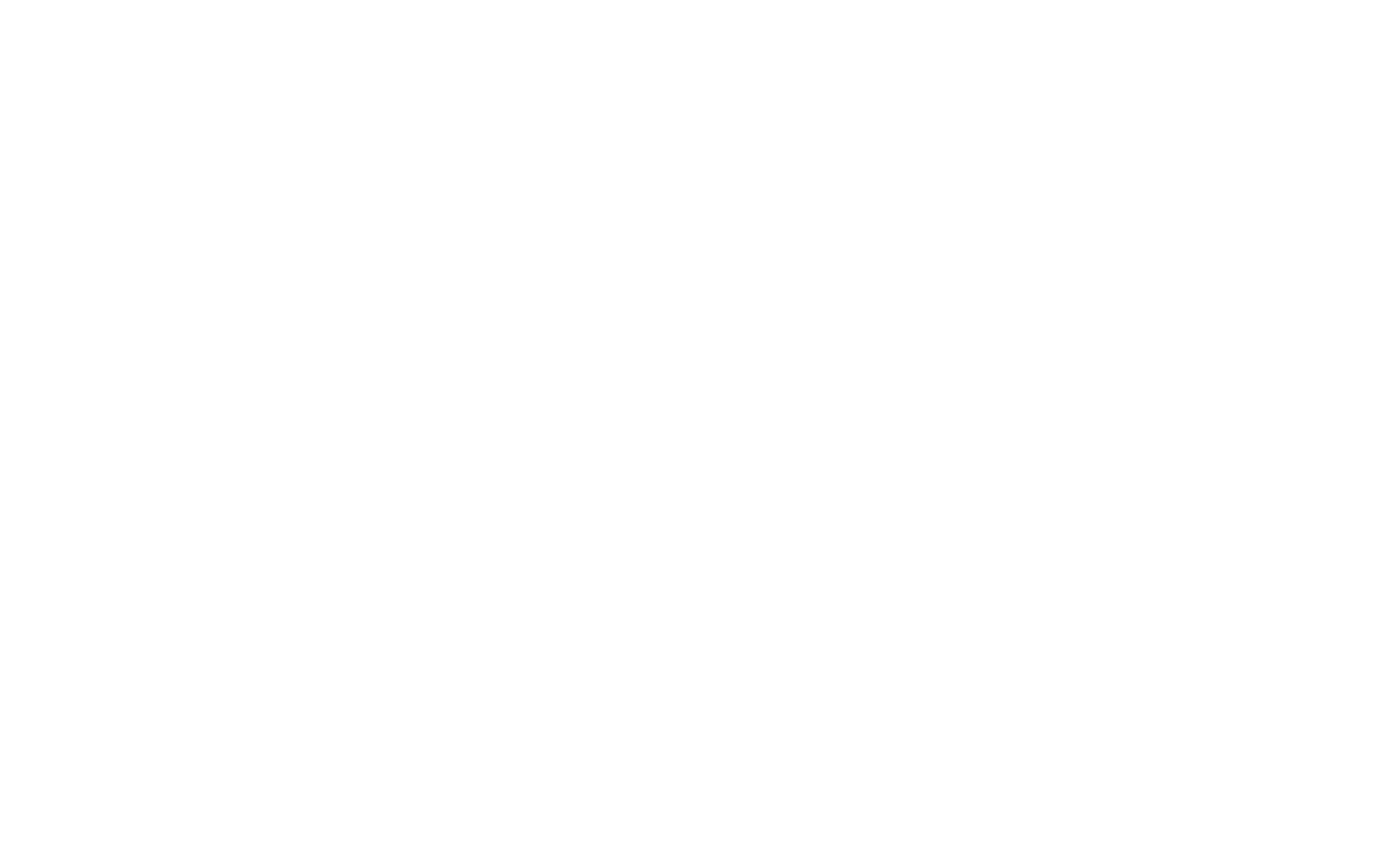 Main Logo